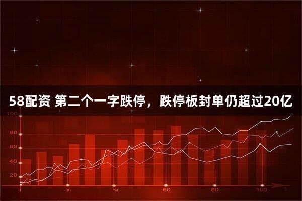 58配资 第二个一字跌停，跌停板封单仍超过20亿